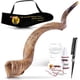 thumbnail image 1 of Shofar PROSHOFAR Cuerno de Kudu Tradicional Yemenita, 1 of 7