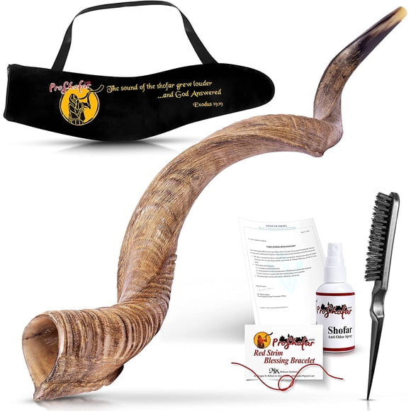Shofar PROSHOFAR Cuerno de Kudu Tradicional Yemenita