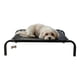 thumbnail image 1 of Cama Elevada Altura Para Mascota Perro Gato Talla S Norplat, 1 of 3
