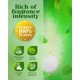 thumbnail image 5 of Vaporizadores de ducha POPCHOSE para aromaterapia, eucalipto, 16 unidades, 5 of 8