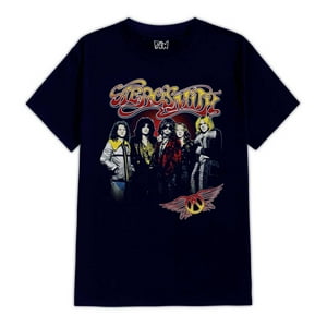 Fanshirt - Polera Estampada Aerosmith Integrantes