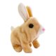 thumbnail image 1 of Juguete De Conejito Con Pilas Adorable Saltando Saltando Para Ni?os De Pascua, 1 of 5