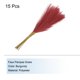 thumbnail image 3 of Uxcell 15Pcs Hierba de Pampas, 21" Hierba de Pampas Falsa para Decoración de Bodas, Burdeos, 3 of 7