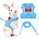 thumbnail image 1 of Arnés y Correa para Conejo Uxcell, Arnés de Chaleco Lindo para Mascotas Pequeñas, Correa Ajustable Suave de Malla Transpirable (M, Azul Cielo) para Conejito, Gatito, Cerdito Pequeño, 1 of 7