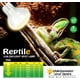 thumbnail image 3 of CULLEN - Paquete de 2 bombillas/lámparas de calor para reptiles, lámpara de calor UVA para lagartos, tortugas, dragones barbudos, erizos, reptiles y anfibios, con termómetro digital adhesivo, 3 of 6