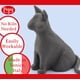 thumbnail image 2 of Barro para modelar Pepy Premium europeo de secado al aire negro 3 x 1 kg, 2 of 5