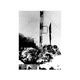thumbnail image 2 of Space Systems Failures, 2 of 2