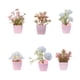 thumbnail image 5 of 6 Miniplantas Artificiales En Maceta Para Escritorio, Estilo Rústico, Para Exteriores., 5 of 5