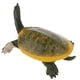 thumbnail image 5 of Simulación Animal Modelo Figura Juguetes Estatuilla Decoración Para El Hogar Tortuga De Caparazón Blando, 5 of 5