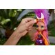 thumbnail image 3 of Doll Cave Club Roaralai con mascota prehistórica Ferrell de más de 4 años, 3 of 7