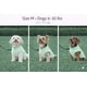 thumbnail image 2 of Chaleco Polar Para Perros Suave Y Cálido Para Pequeños Y Medianos, 2 of 8