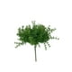 thumbnail image 1 of Planta Decorativa Perejil 30cm Artificial, 1 of 3