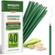 thumbnail image 1 of Incienso Elmeplh de Citronela 40 unidades para exteriores, 1 of 7