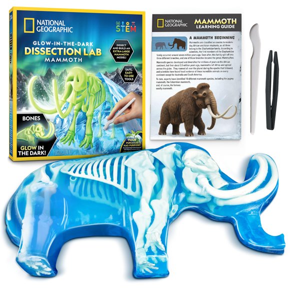Kit de disección Blue Marble de mamut - laboratorio de anatomía para niños