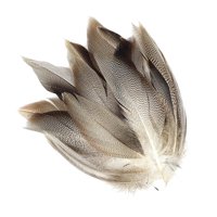 Bothyi - 50 Plumas De Plumas Para Atado De Moscas Para Actividades De Fiesta, Carnaval