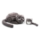thumbnail image 2 of Peluche Gato Miaou Mamá Y Bebé - Gris, 2 of 3