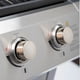 thumbnail image 5 of Parrilla A Gas Essence 4q, 5 of 10