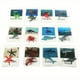 thumbnail image 1 of Montessori Animal Matching Card Cognitive Kids Educational Toy Animal Insect Farm Zoo Preschool Toddler Language Learning Card, 1 of 5