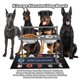 thumbnail image 2 of Comederos para perros SHAINFUN de altura ajustable, 3000 ml, metal, 2 of 7