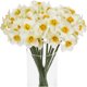 thumbnail image 1 of Xiao Hua Juego de 6 Flores Artificiales de Narciso, Decoración de Flores de Seda Simulada de Primavera, Adecuada para Decoración Del Hogar y Bodas, Blanca, 1 of 4