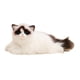 thumbnail image 4 of Animal De Peluche Modelo De Gato De Peluche Acurrucado Para Regalo De Amigo Antes De Dormir Para Recuerdo De Fiesta, 4 of 5