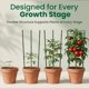 thumbnail image 5 of Juego de 4 jaulas ajustables para tomates Oriva de metal de 46 cm, 5 of 9