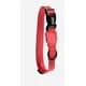 thumbnail image 1 of Collar Para Perro Coral Talla M | Medium Neon Coral, 1 of 3