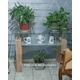thumbnail image 4 of Arrimo Rectangular Cubierta De Vidrio 100x40x70, 4 of 5
