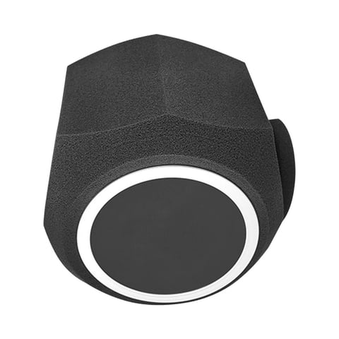 Magideal - Filtro Acústico De Pantalla De Micrófono Portátil, Filtro De Protección De Aislamiento Profesional, Parabrisas Vocal, Audio Absorbente De Sonido Para