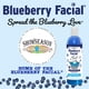 thumbnail image 5 of Champú para mascotas South Bark's Blueberry Facial 355 ml, 5 of 9