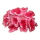 thumbnail image 3 of Fondo De Accesorios De Foto De Coral Artificial Mini Para Accesorios De Oficina De Acuario, 3 of 5