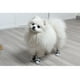 thumbnail image 2 of Zapatos para perros de compañía, 4 zapatillas deportivas de lona para cachorros, paseos al aire libre, fundas protectoras para patas de perro para deportes y carreteras calientes, 2 of 4