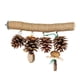 thumbnail image 1 of Juguetes Para Pájaros, Soporte De Percha, Juguete Ligero Para Loros, Periquitos, Colibríes, Agapornis, 1 of 3