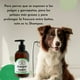 thumbnail image 4 of Shampoo Repelente Pulgas Y Garrapatas Para Perros, 4 of 4