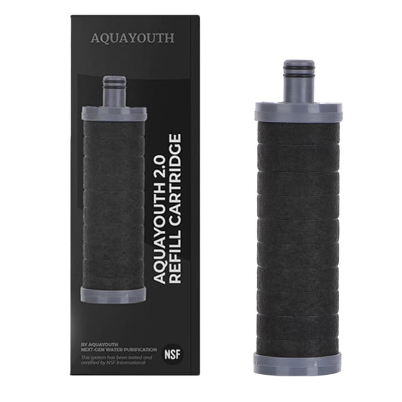 Filtro De Cabezal De Ducha 2 0 Carbon Que Elimina El Cloro Nsf