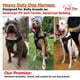 thumbnail image 5 of Arnés Para Perros Knk Big Large Heavy Duty Para Perros Medianos Y Grandes, 5 of 5