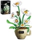 thumbnail image 1 of Set de Construcción APENGBAOL Flor Margarita 496 Piezas Taza de Café, 1 of 7