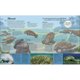 thumbnail image 2 of Libro DK Enciclopedia La Vida del Agua, 2 of 2