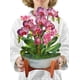 thumbnail image 1 of Tarjetas desplegables de papel recién cortado Orchid Oasis Forever Flower, 1 of 9