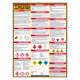 thumbnail image 1 of Póster SDS Safety Supply Mart 76 cm x 84 cm con recubrimiento UV, 1 of 7