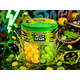 thumbnail image 2 of Pack 10 Jelly Beans Gomitas Acidas 80g, 2 of 2