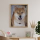 thumbnail image 5 of Shiba Inu Kits de Pintura de Diamantes para Adultos, 5 of 6