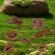 thumbnail image 5 of Caca Falsa Junware - 7 Piezas de Juguetes de Broma Realistas, 5 of 7