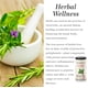 thumbnail image 3 of Silverpot Té de Menta Piperita y Menta Verde – 50 bolsas – 80 g, 3 of 7