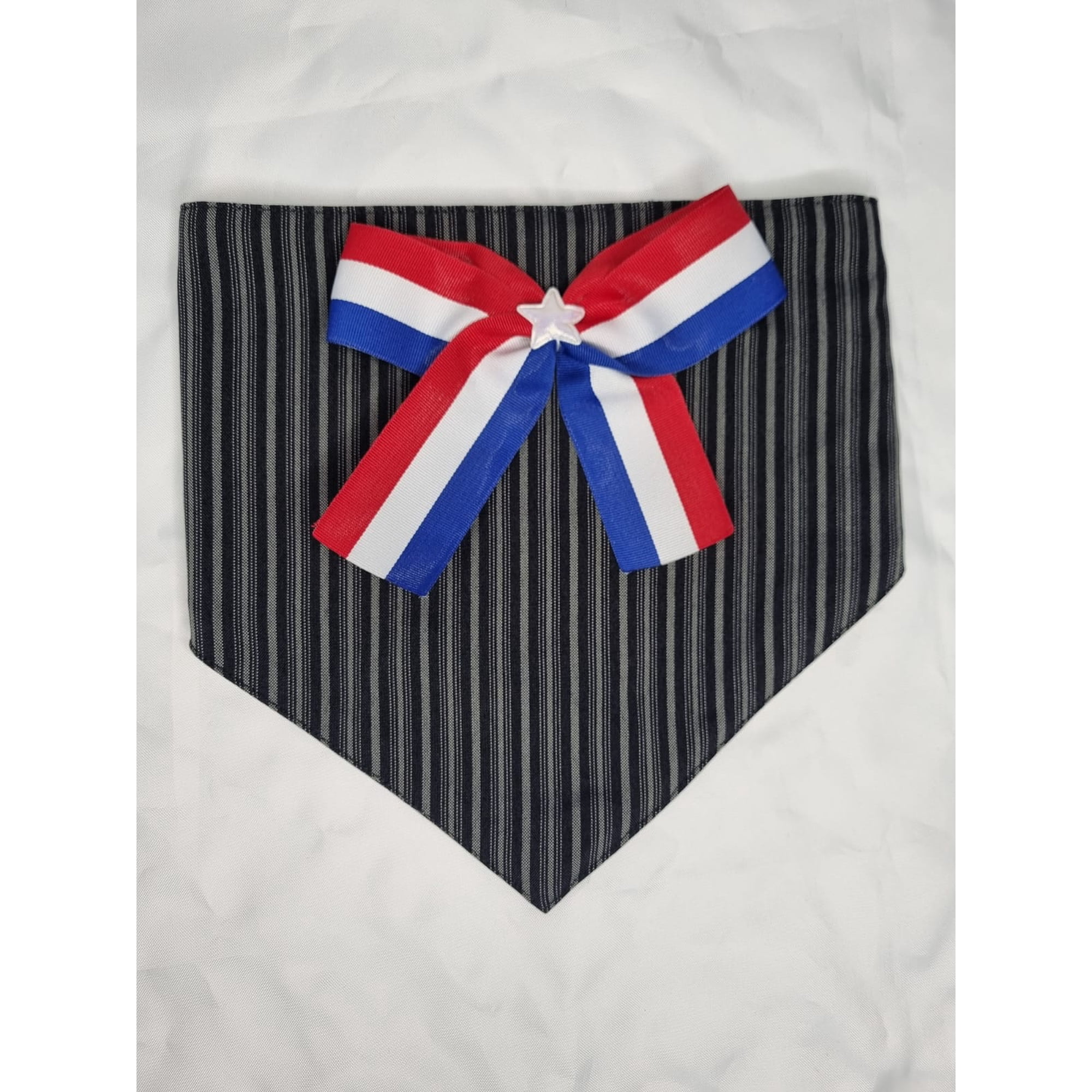 Bandana mascota fiestas patrias 1 talla XXS