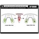 thumbnail image 5 of Protector bucal COOLLO SPORTS para adultos (8+) de dos capas con correa, 5 of 7
