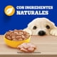 thumbnail image 5 of Alimento Húmedo Cachorro Sabor Pollo Pouch, 100 g, 5 of 9