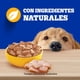 thumbnail image 3 of Alimento Húmedo Perro Adulto Sabor Pollo Pouch, 3 of 9