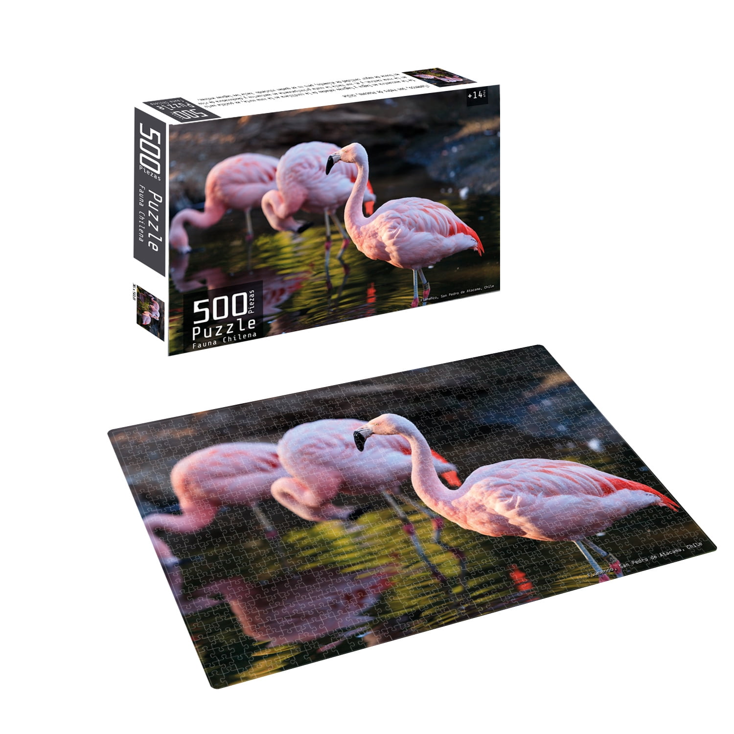 Nobel Gift - Puzzle 500 Piezas Fauna Chilena Flamenco