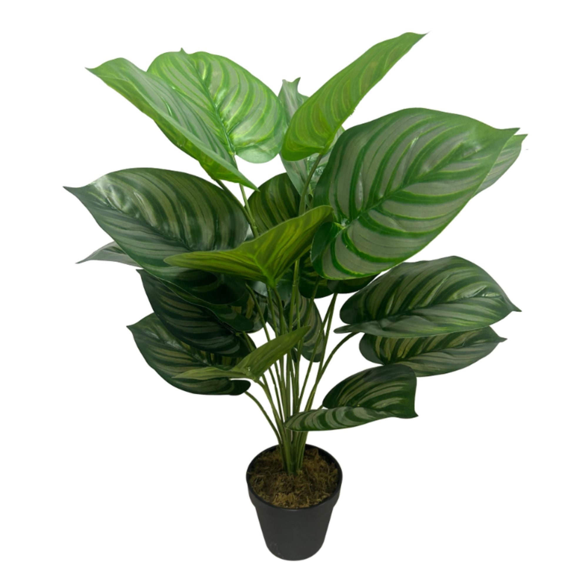 Expert Gardener - Planta Artificial Aglaonema 60 Cm